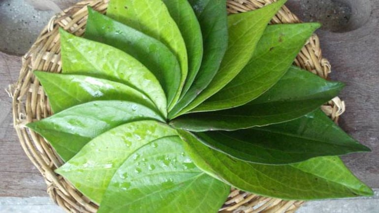 7 Surprising Medicinal Benefits of Betel Leaves