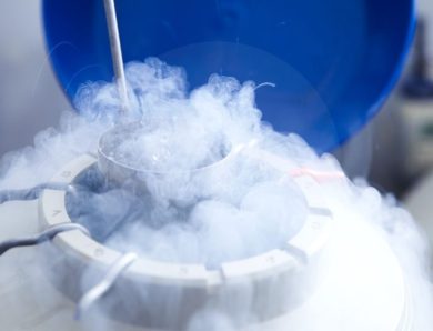 Egg Freezing Program Diet and Lifestyle: What Helps Most