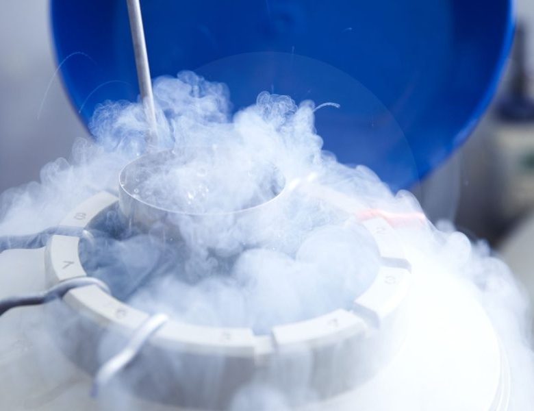 Egg Freezing Program Diet and Lifestyle: What Helps Most