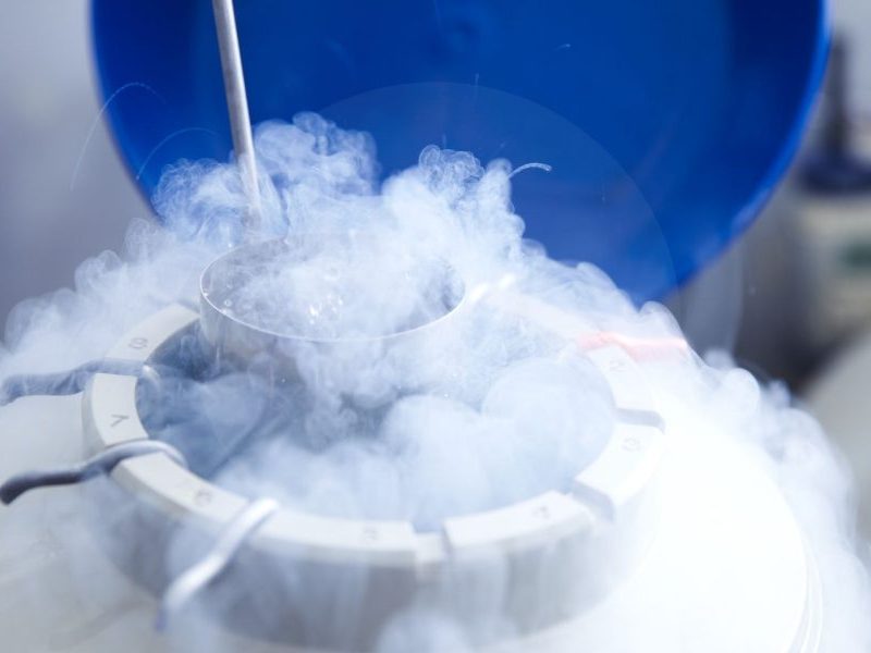 Egg Freezing Program Diet and Lifestyle: What Helps Most