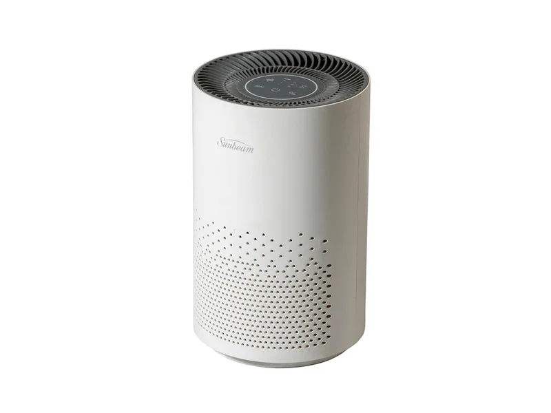 Decoding Air Purifier Performance: Key Features Allergy-Prone Households Should Never Ignore